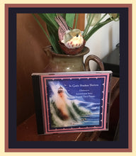 Load image into Gallery viewer, AUDIO Music CD: In God’s Shadow Shelter ~ Meditative Instrumental Solos by Suzanne Davis Harden