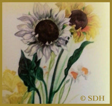 Load image into Gallery viewer, Original Art Print: "Sunflower Print" ~ Illustrated by Suzanne Davis Harden