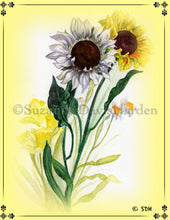 Load image into Gallery viewer, Encouraging Card ~Sunflower with Inspirational Scripture Illustrated by Suzanne Davis Harden
