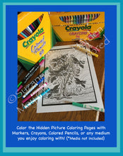 Load image into Gallery viewer, Digital Download Handmade Original Hidden Picture Coloring Page-&quot;Five Birds&quot; by Suzanne Davis Harden
