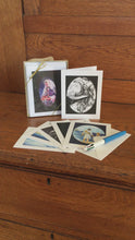 Load and play video in Gallery viewer, Original Greeting Card Set-Inspirational Collection Illustrated by Suzanne Davis Harden

