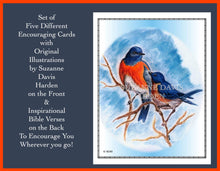 Load image into Gallery viewer, Encouraging Cards -Set of Five Different Encouraging Cards Illustrated by Suzanne Davis Harden
