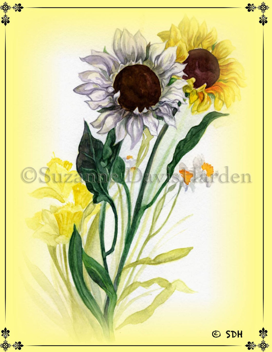 Encouraging Card ~Sunflower with Inspirational Scripture Illustrated by Suzanne Davis Harden